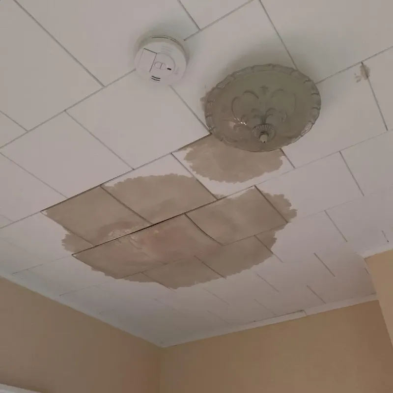 Ceiling Water Damage Repair in Southern Gateway, VA