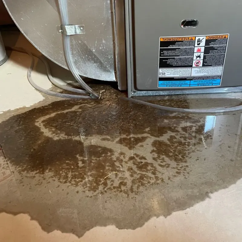 Pipe Burst and Leak Restoration in Southern Gateway, VA